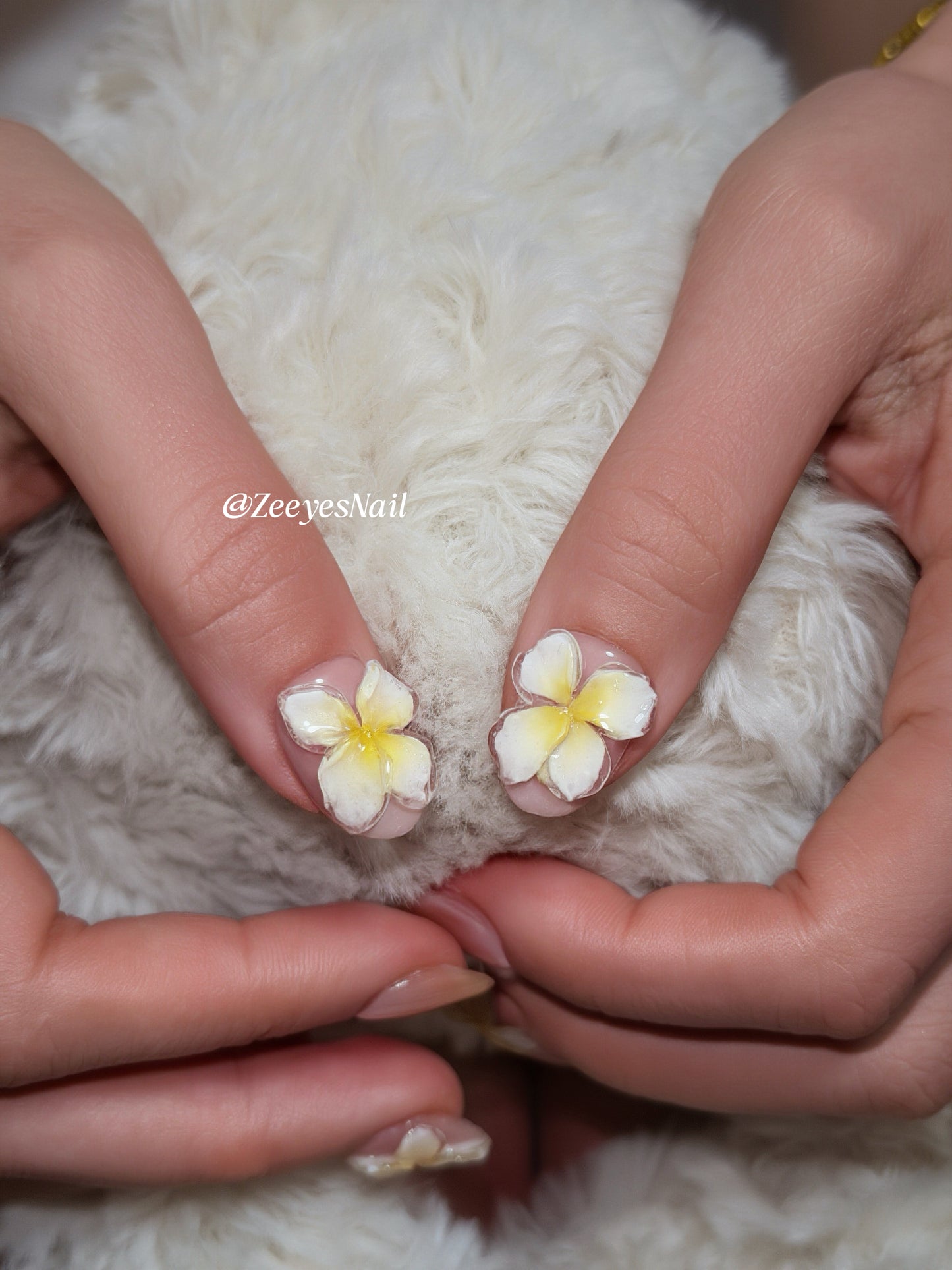 Plumeria French