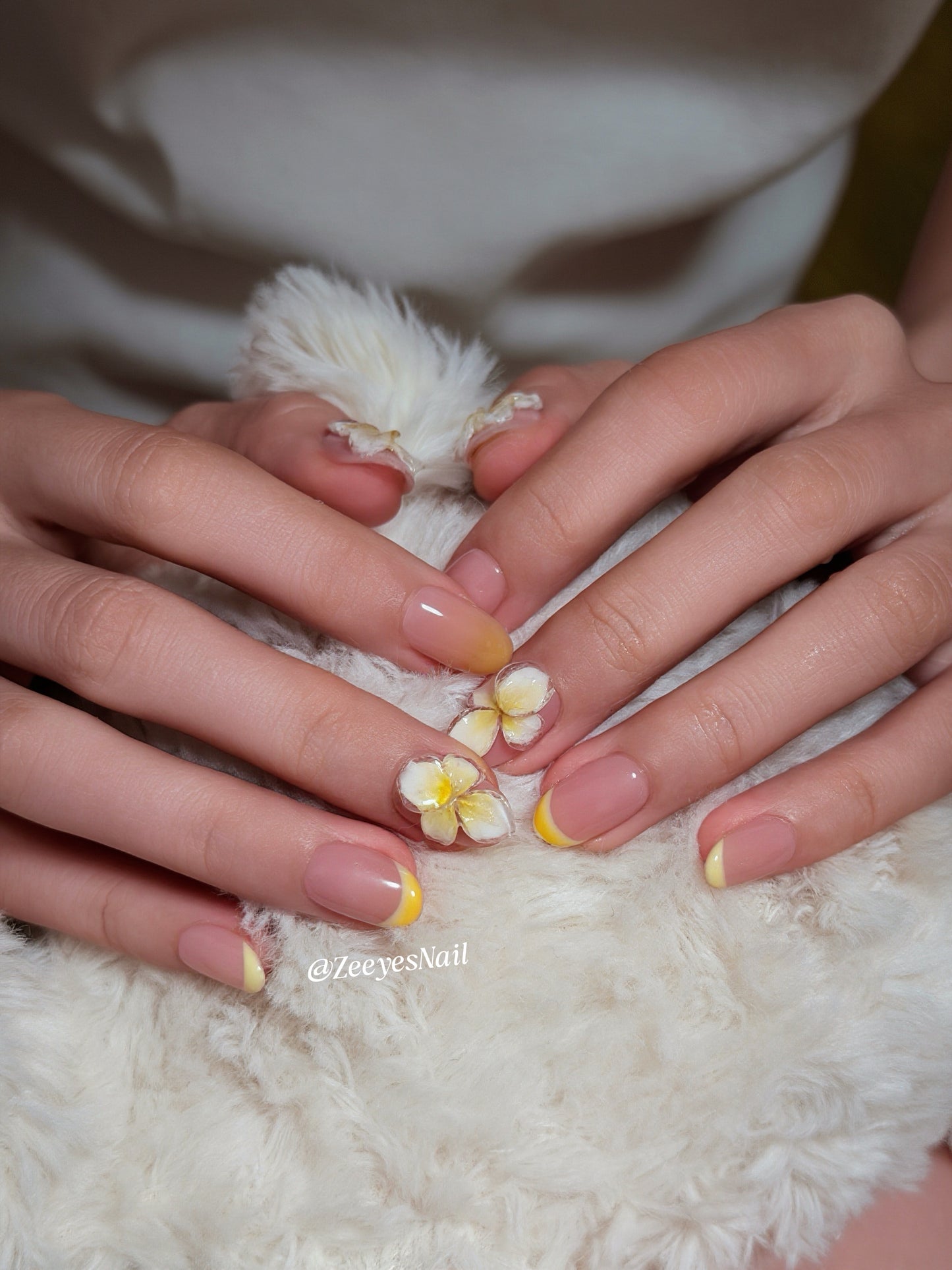 Plumeria French